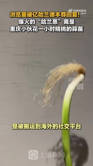 极速世界杯塞内加尔vs伊拉克直播在线观看_极速世界杯塞内加尔vs伊拉克直播在线观看在线观看_免费看直播
